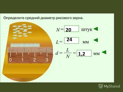 Диаметр риса в мм