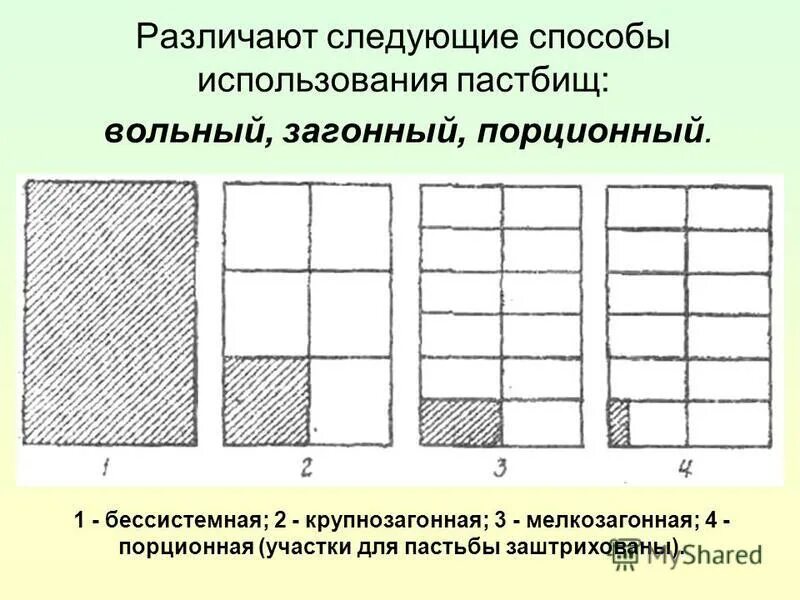 Используя способ