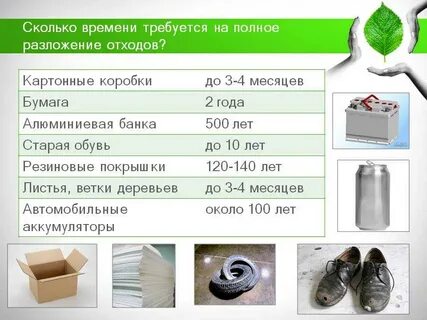 Сколько разлагается жевательная резинка