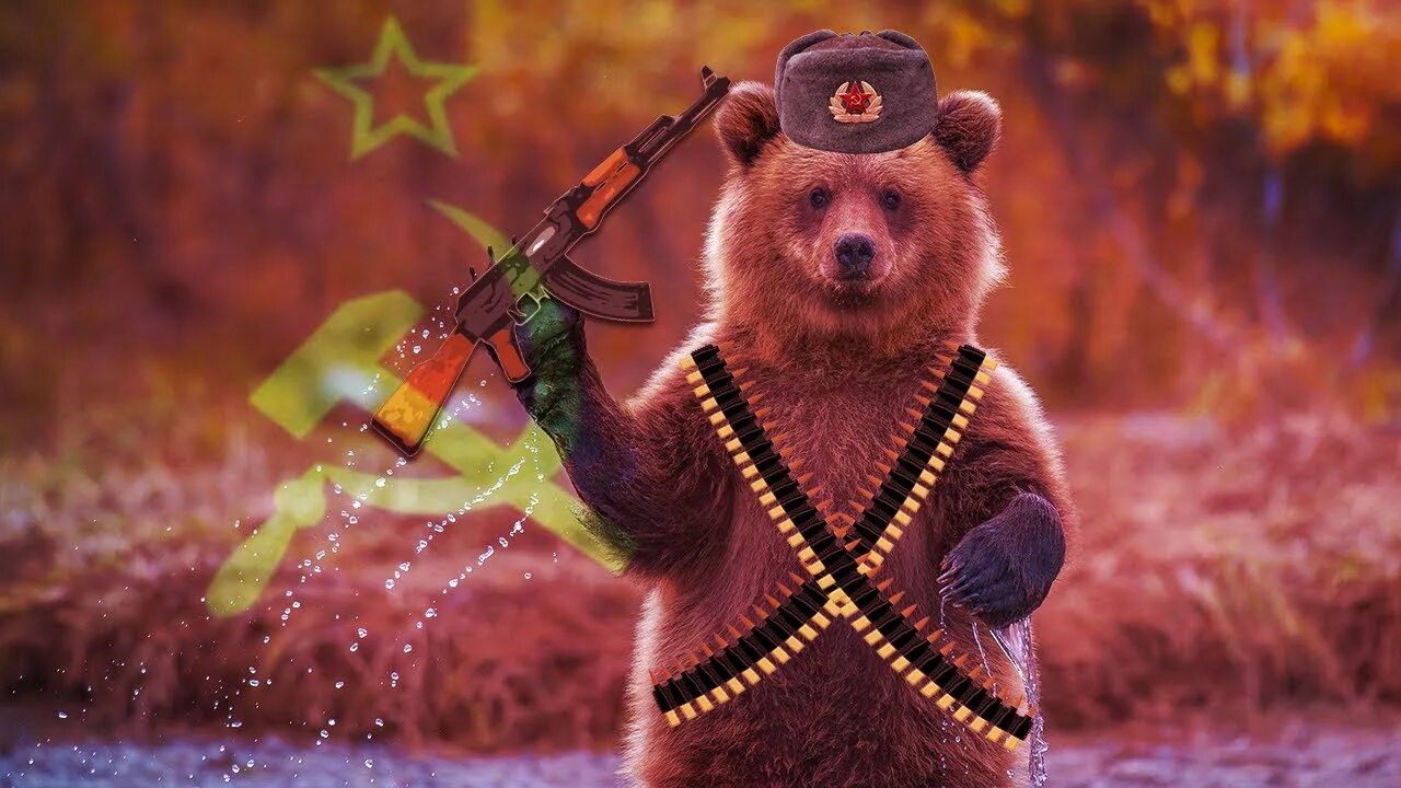 Тема русский медведь. Партизаны на медведях. Медведь с автоматом. Медведь в ушанке. Русский медведь.