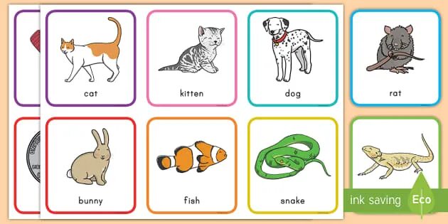 Английское слово pet. Rhyming pair Memory game. Pet animals Rhymes.