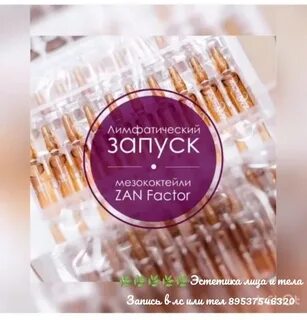 Зан фактор