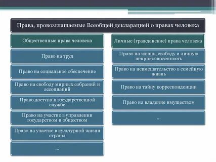 Социальное право основные положения