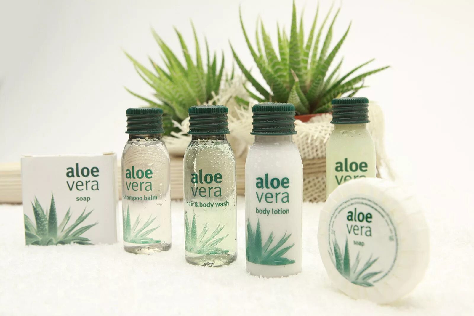 Aloe vera купить. Aloe Vera Гостиничная косметика. Aloe Vera Gel Италия.