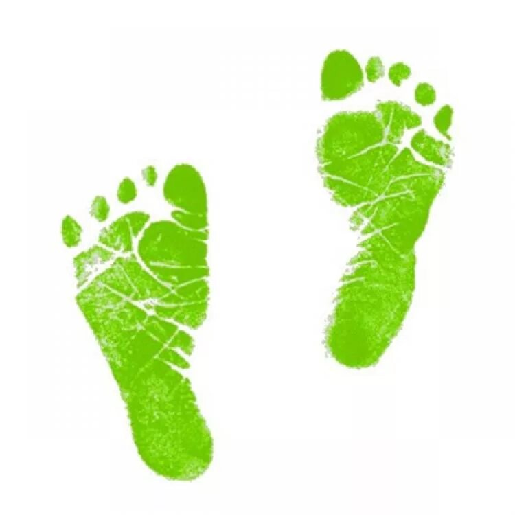 Экологический след человека. Carbon footprint. Зеленый след. Footsteps. Ecological footprint.