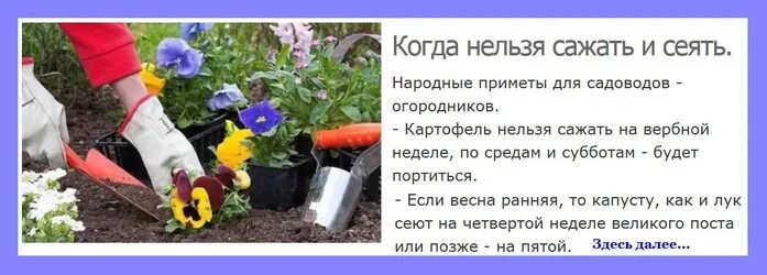 В какие дни нельзя сажать. Народные огородные приметы. Советы садоводам и огородникам. Советы огородникам весенние. Приметы садовода и огородника народные.