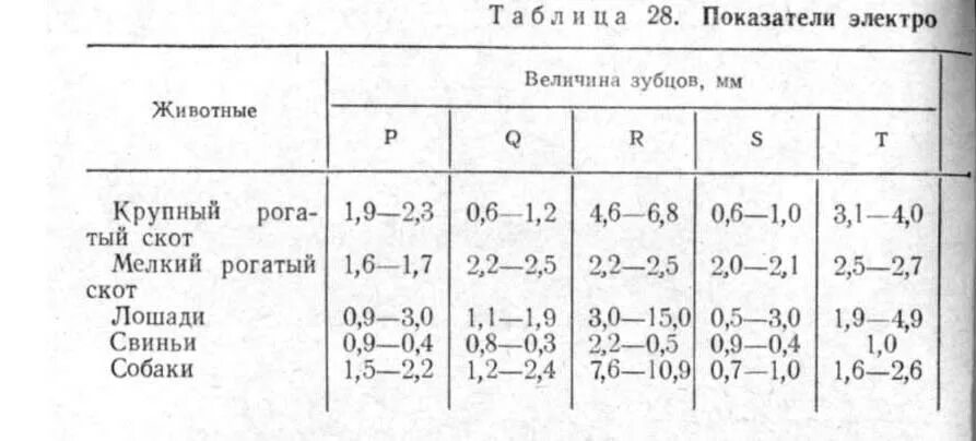 Нормальное давление у собак. Нормативные показатели экг собаки. таблица нормы экг собак. кардиограмма собаки норма. показатель экг в норме у собак.