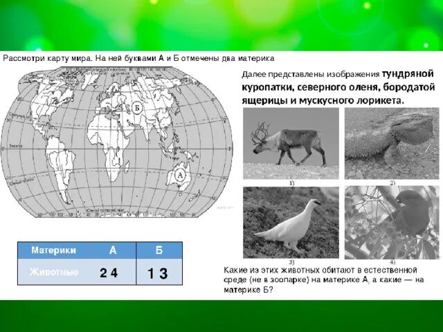 Решу впр окружающий мир 5 класс. Названия материков ВПР С животными. ВПР окружающий мир материки.