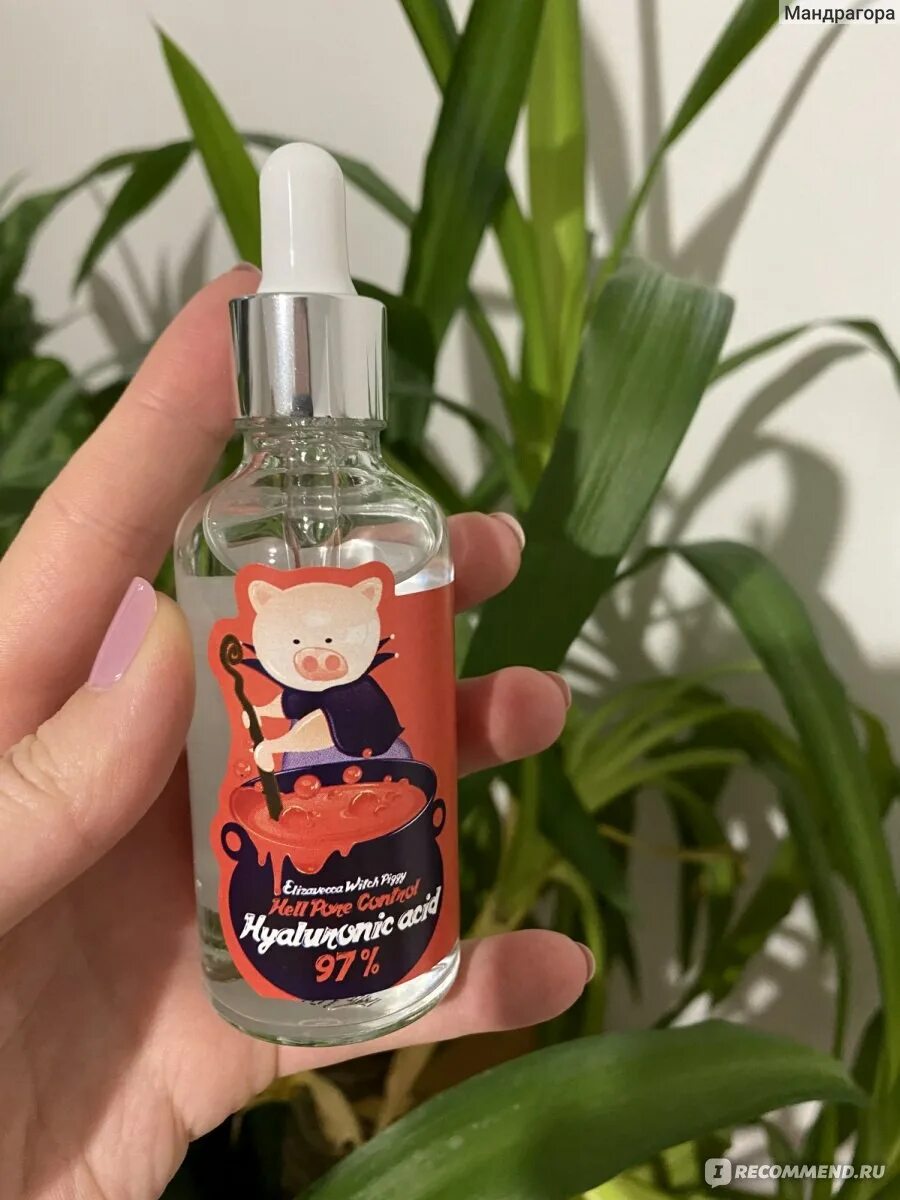 Elizavecca pore control acid 97. Сыворотка с 97 гиалуроновой кислоты корея. Сыворотка для лица со свинкой. Elizavecca 750666 сыворотка с гиал. Гиалуроновая сыворотка elizavecca hell-pore control hyaluronic acid 97%.