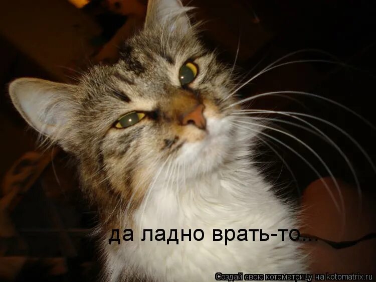 Ладно врать. Ладно врать то. да ладно не ври. да ладно уж. да ладно фото смешное.