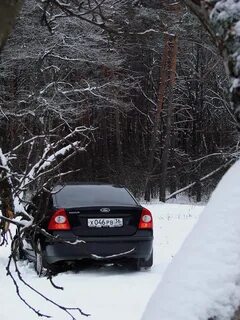 Январь 2011