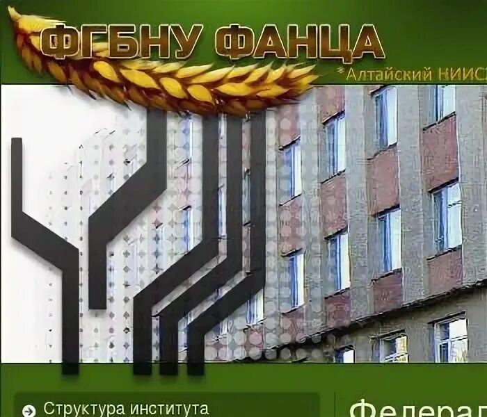 Погода в барнауле сегодня. Рп барнаул. Ресторан барнаул шрифт логотипа. Рп группа. Рп барнаул.