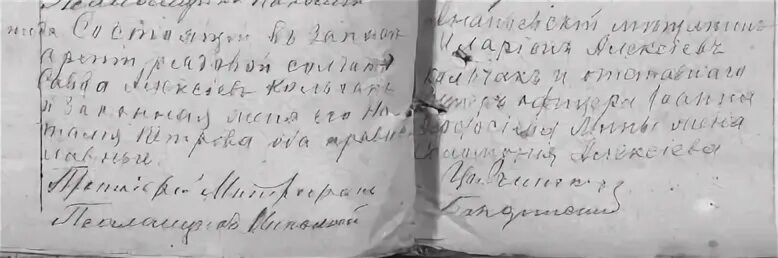 На террасе близ конопляника