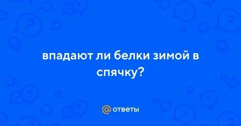 Белка впадает в спячку зимой или нет