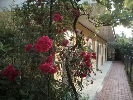 Гостевой дом курортное отзывы