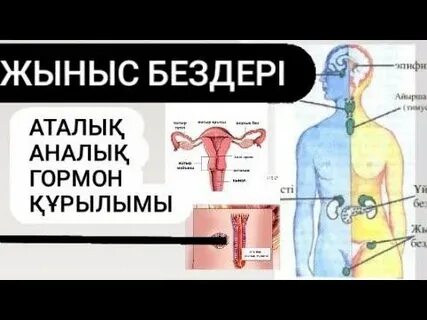 Саунадағы орыс сексін онлайн көру