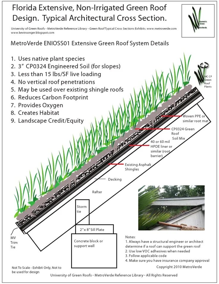 Tip detail. Green Roof Section. Extensive Green Roof. Plants for Green Roof. Green Roof how to make.