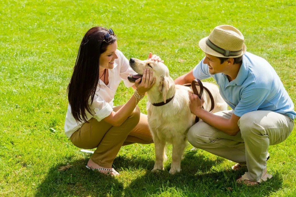 Many animal owners. Домашние животные и человек. Хозяин собаки. Человек с собакой. Домашние животные с хозяевами.