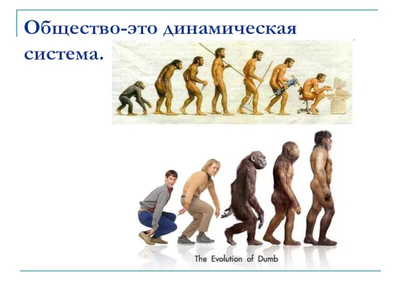 Эволюция человека от обезьяны. Из обезьяны в человека. Развитие обезьяны в человека. Человек от обезьяны до человека. Как появились обезьяны