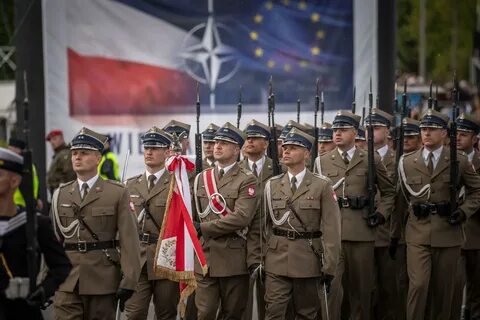 Поляки войска