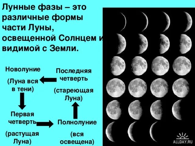 Фазы Луны. Форма Луны. Растущая Луна схема. Разные формы Луны. Сколько частей луны