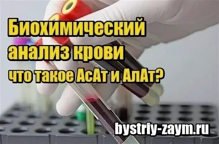 Почему понижена алт