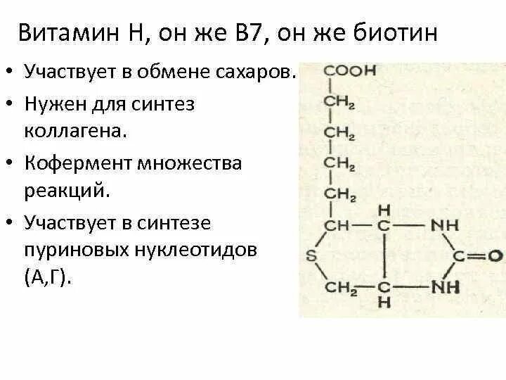 Витамин участвующий в синтезе коллагена. Биотин витамин h кофермент. Витамин н биотин формула. Витамин биотин функции. Витамин h биотин формула.