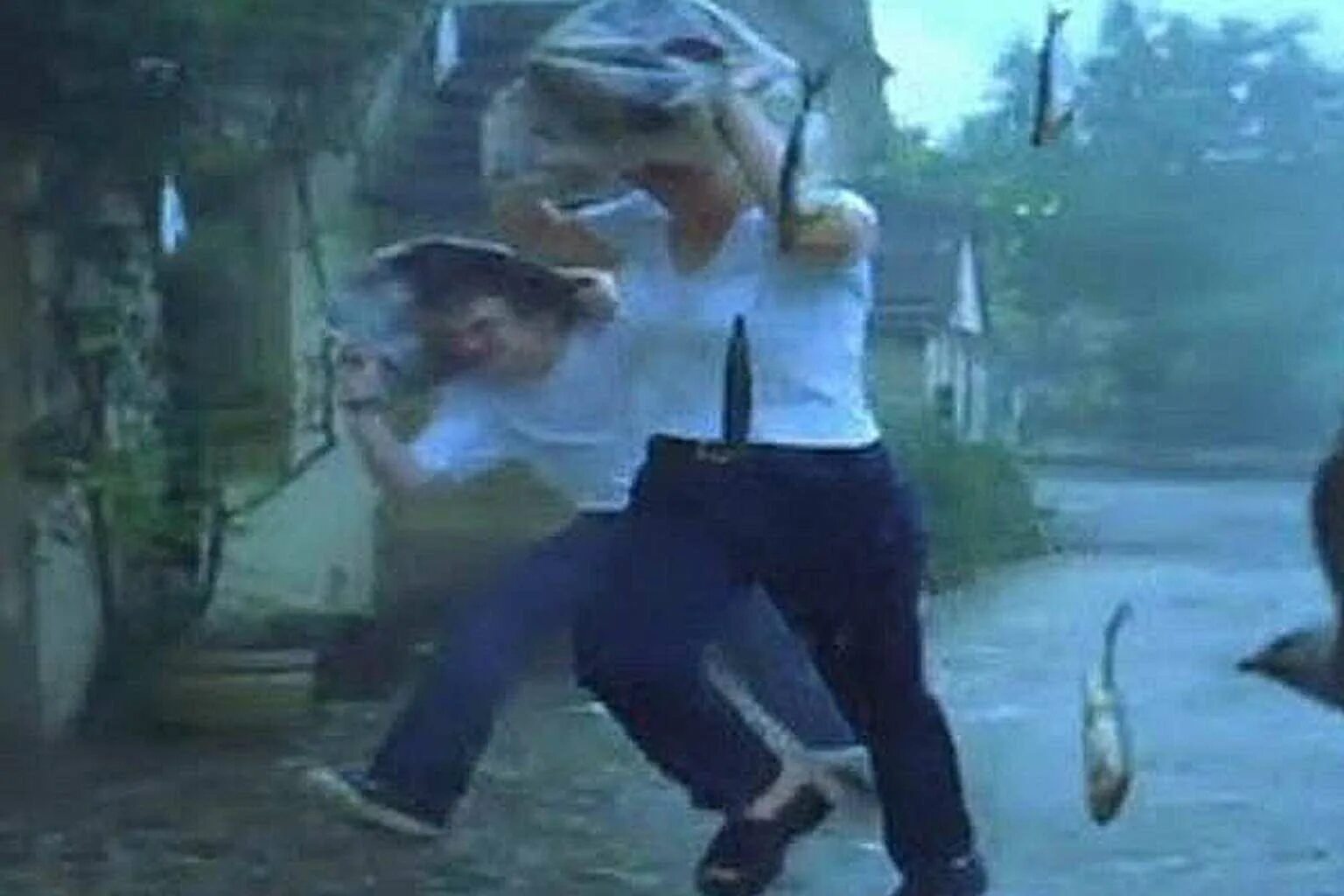 сезон рыбных дождей в гондурасе. дождь из рыбы и лягушек. дождь из рыбы в гондурасе. дождь из рыбы в миннесоте 2006 год. рыбный дождь в гондурасе.