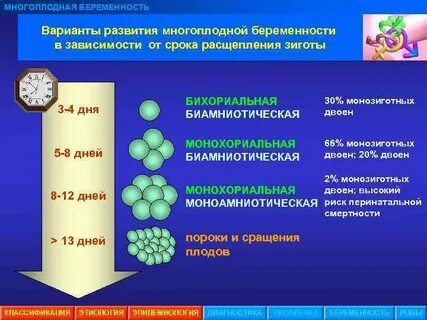 Классификация многоплодной беременности