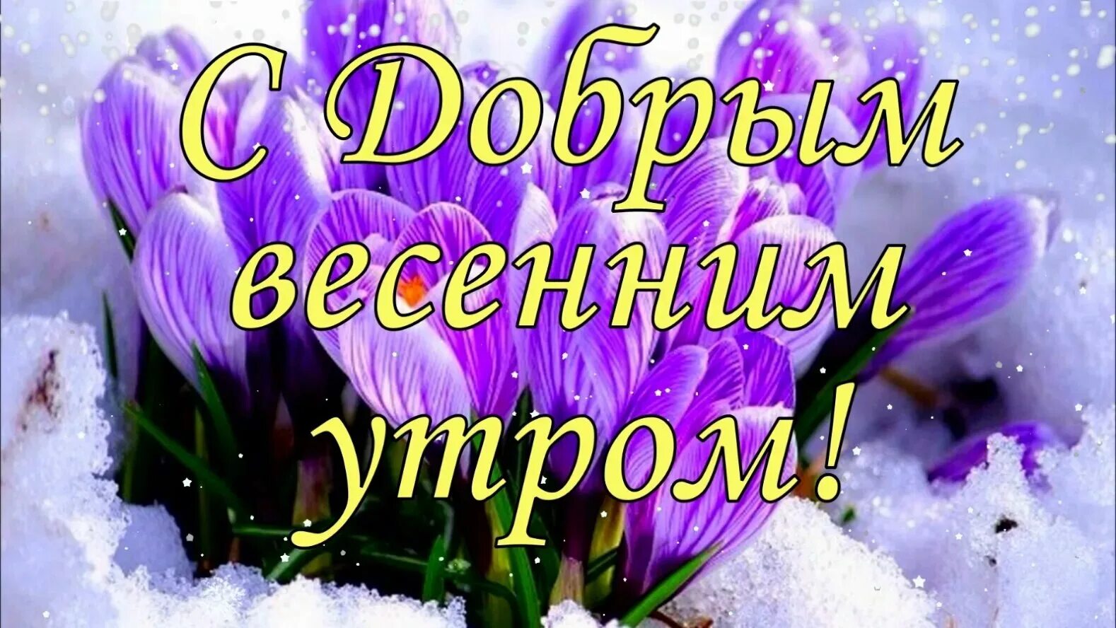 День картинки с надписями хорошего дня март. Доброе Весеннее утро. Доброе мартовское утро с пожеланиями. С добрым весенним. Доброе Весеннее утречко.