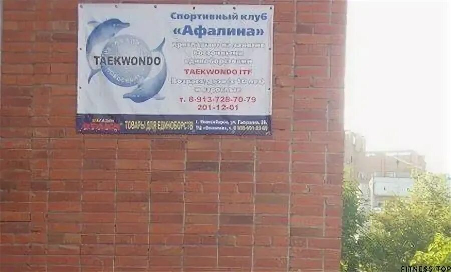 Клуб афалина. Афалина крюинг. Ооо афалина. Афалина бассейн новосибирск расписание. Бассейн афалина в новосибирске.