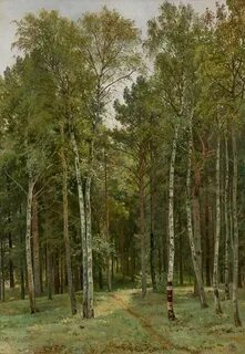 Знаменитые леса