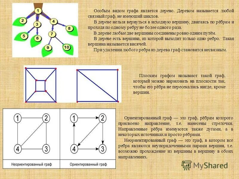 Наименьшее количество циклов в графе. Дерево (теория графов). Вершина (теория графов).