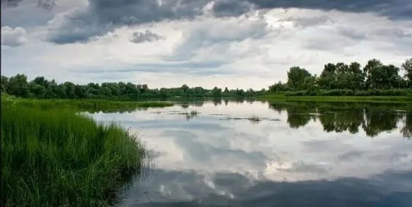 Погода дорохово красноярского края. Сохновка назаровский район. Село дорохово назаровский район. Дорохово назаровский район. Поселок дорохово рузский район.