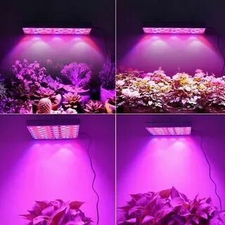 Indoor Plant Lighting market