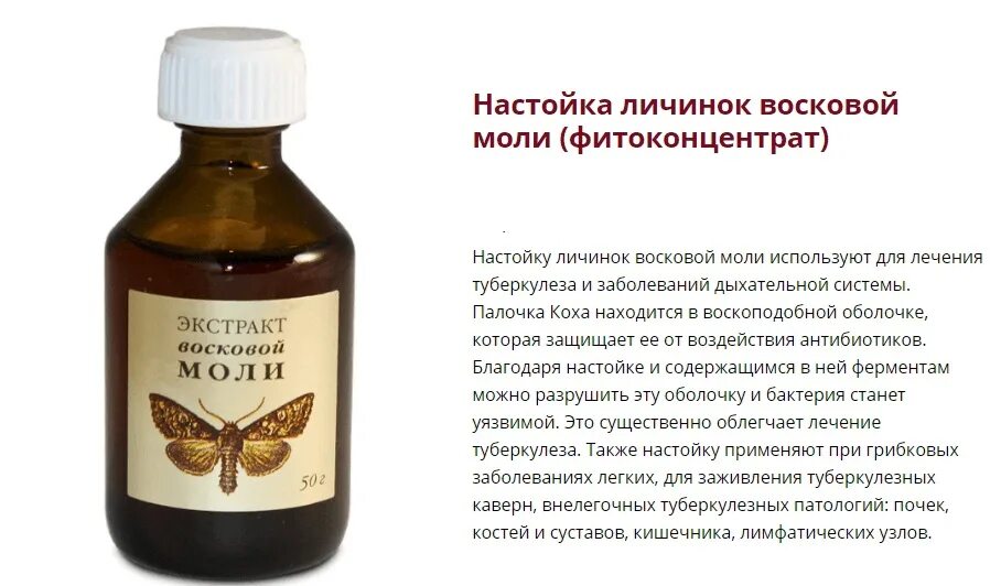 Как принимать огневку пчелиную
