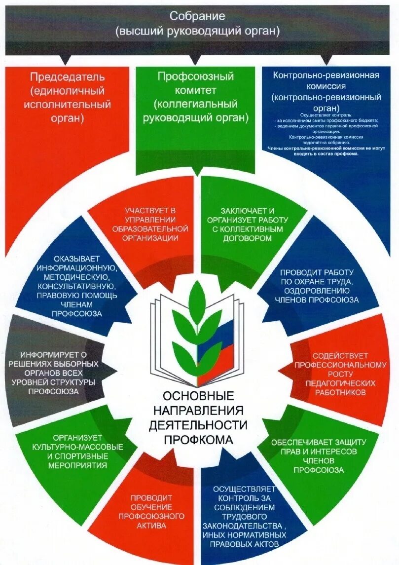 Направления работы профсоюзной организации. Структура первичной профсоюзной организации. Основные направления деятельности профсоюзной организации. Направления деятельности профсоюза работников образования. В организации есть первичная профсоюзная организация