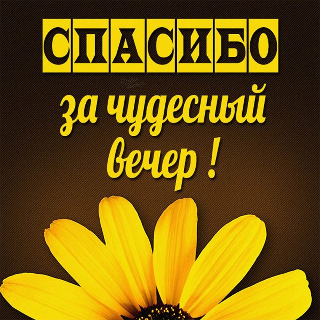 Открытка спасибо за вечер. Спасибо очень приятно. спасибо маме за сына. спасибо за подарок. спасибо за заботу и внимание.