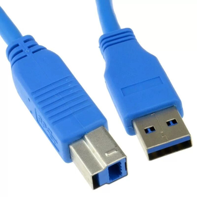 Type b купить. USB 3.0 B Type Cable. USB 3.0 SUPERSPEED Type b. Кабель USB 3.0 Type a - USB Type b. USB 2.0 Type b 3.0.