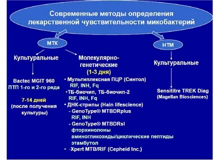 Чувствительность микобактерий туберкулеза