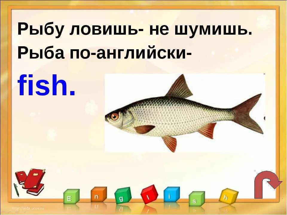 Английские слова рыба