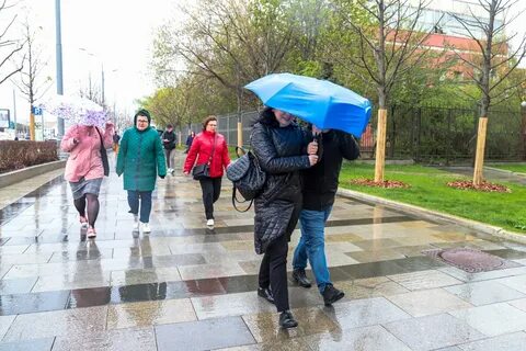 Когда будет похолодание в москве 2024