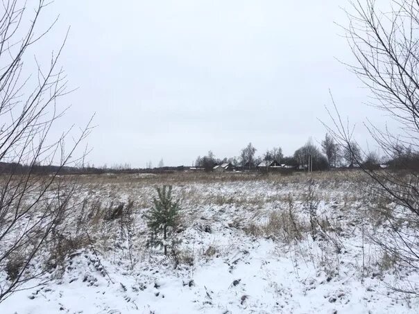Погода синичино можайского. Можайск д синичино. Московская обл можайский р он д цезарево. Погода синичино можайского. Погода синичино.