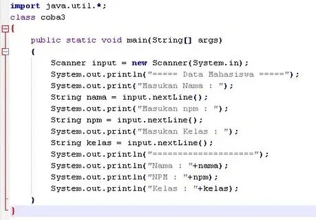 Npm input