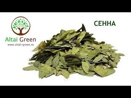 Сенна трава вред