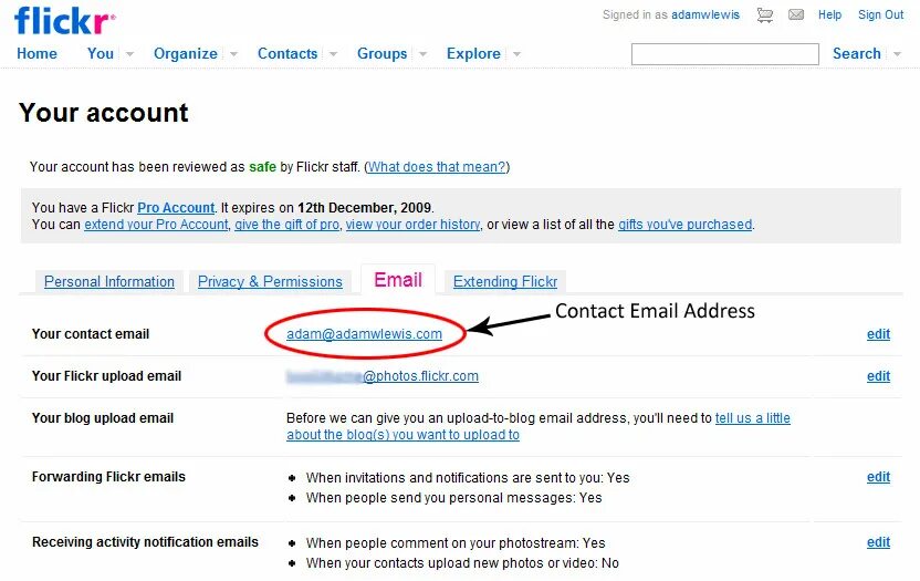 Email адрес. E-mail адрес. Емейл адрес почты. Как выглядит емейл. Your mailing address