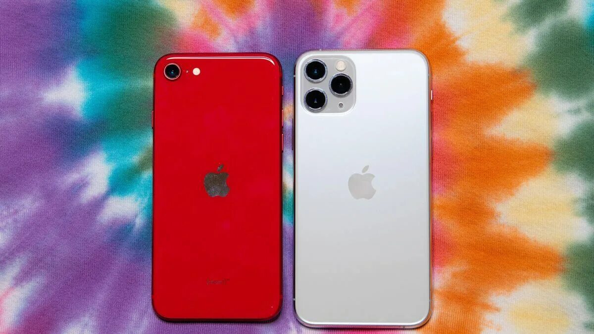 Айфон 11 2 сим. Iphone se vs iphone 11. Iphone se 2020 и iphone 11. Айфон se 2020 vs айфон 11. Iphone se 2 vs iphone 11.