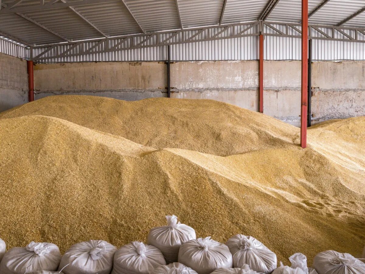 Склад для хранения зерна. Из амбара отгрузили 8 11 зерна. Пшеница на складе. Зерно в ангарах. Из амбара отгрузили 8 11 зерна.