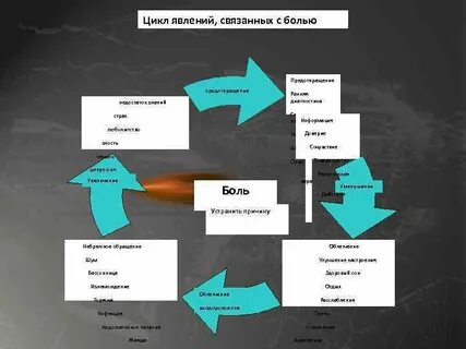 Цикл явление