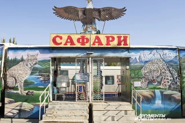 Московский зоопарк сафари передвижной. Московский государственный передвижной зоопарк сафари. Московский зоопарк сафари. Московский зоопарк сафари передвижной. Зоопарк сафари волгоград.